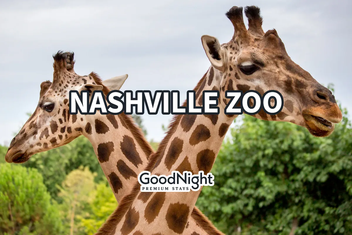 This exterior image features two giraffes surrounded by lush greenery, evoking the excitement and educational value of a family trip to the Nashville Zoo. The cheerful, adventurous mood and clear animal focus make it instantly recognizable as a family-friendly destination.
